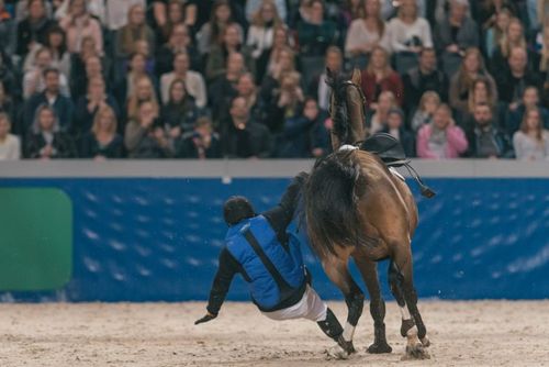Huvudet skadedrabbat vid hästolyckor