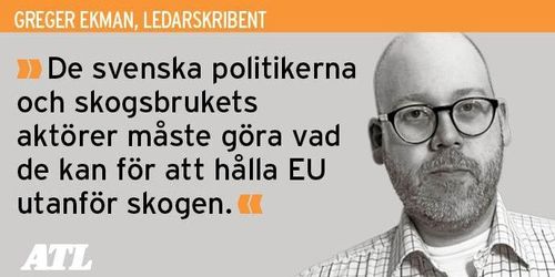 Valresultatet kan påverka EU:s makt i svensk skog