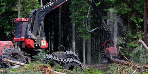 Allt fler väljer bort skogen: ”Tjänar bättre nu”