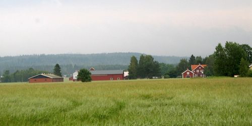 Tillväxtverket: ”Förenkla för gröna näringar”