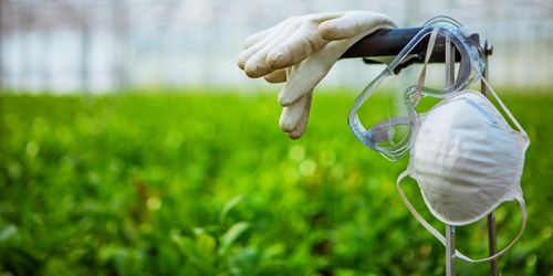 ”Coronastrategi saknas för gröna näringarna”