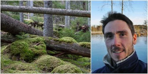 ”Skogsstyrelsen gör min skog värdelös”