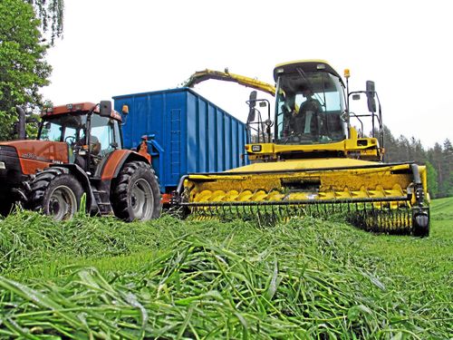 Torkan sänkte vallskördar