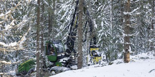 SCA hittade 11 miljoner kubikmeter skog