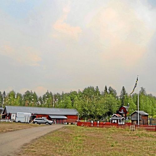 Kor evakueras från skogsbrand