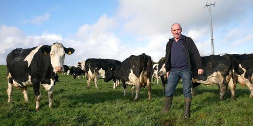 Irländska lantbrukare fruktar hård Brexit