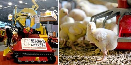 Nya stalltvätten gör rent hus i fågelstallarna