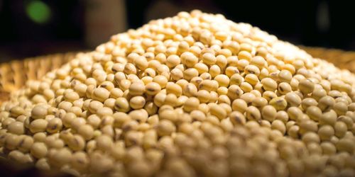 EU ska öka sojaimporten från USA