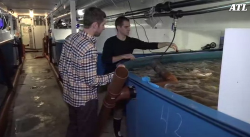 Jättens miljoner ger skjuts för Gårdsfisk