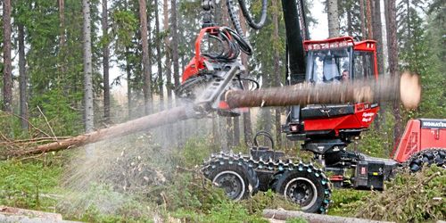 Förslag på referensnivå för avverkning ute på remiss