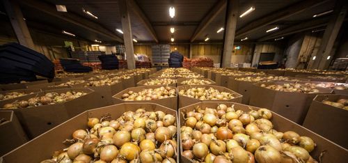 Lagen som kan ge bonden muskler mot köparna