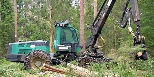 Gammal Timberjack perfekt på liten skogsgård