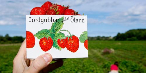 Svensk jordgubbsbrist ger rekordpriser