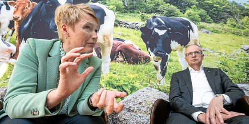 LRF mer än halverade vinsten 2020