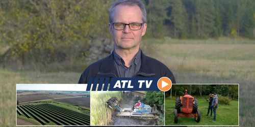 ATL TV: Här blir det el i stället för vete