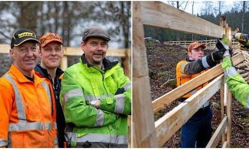 Många fördelar med viltstängsel i trä