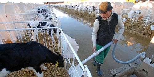 I Ryssland har storleken betydelse