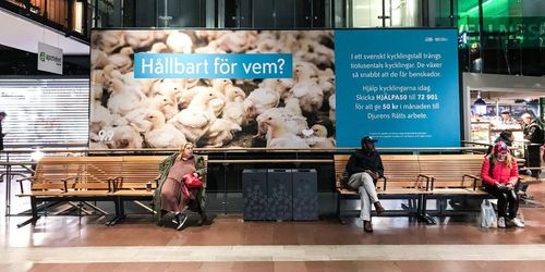 Svensk Fågel om nya kampanjen: Ren lögn