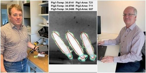 Här är nya lösningen för övervakning av ko och gris