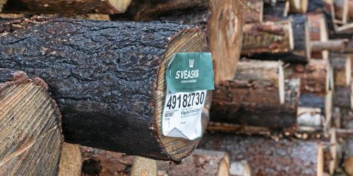 Upprop: ”Ändra Sveaskogs direktiv”