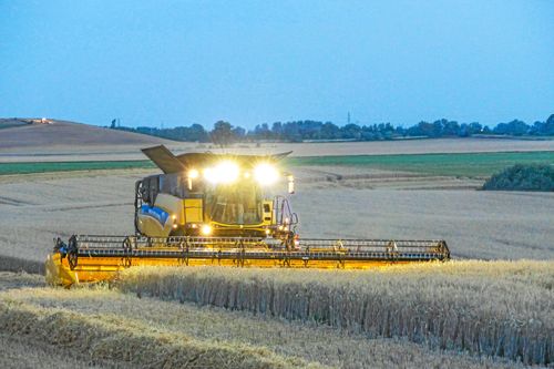 Rekordår för spannmålsskörden