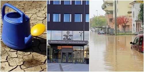 SLU-studenter startar nytt klimatuppror