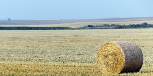 Allt fler nödrop i torkans spår