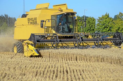 Tufft för fransk veteproduktion