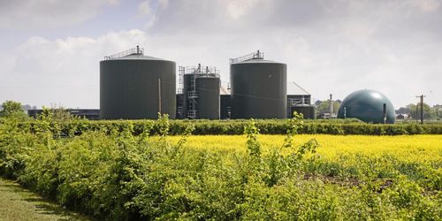 Höga förväntningar på biogasutredning