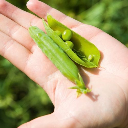 Avgångsvederlag till Findus-anställda