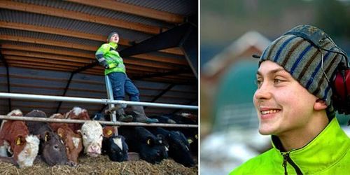 Orädd satsning: Så fick Robin fart på familjens gård