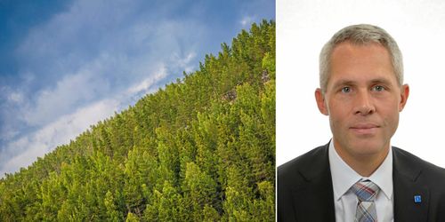 KD: Staten struntar i äganderätten