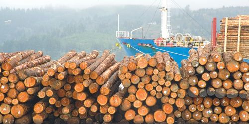 Coronavirus stoppar virkesexport