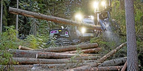 Här är metoden som hjälper dig vid avverkning