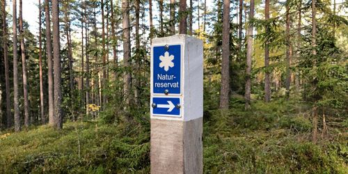 Fler markägare positiva till naturreservat