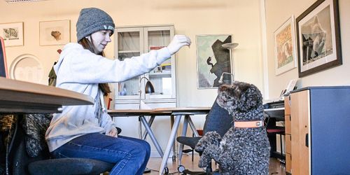 Här är hundarna som jobbar i skolan