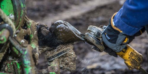 Mer pengar till djurstöd