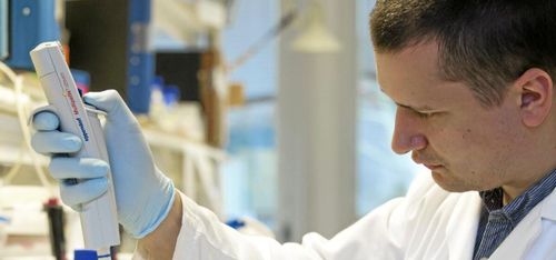 Genändrat vete kan bli framtidens olja