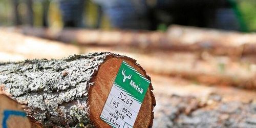 Rejält förskott på sommargallringar