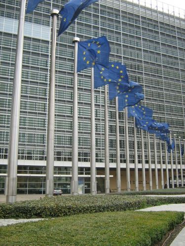 Vägrar ge upp ekolag