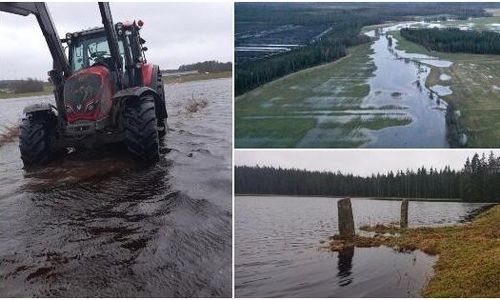 Lantbrukare om åkrarna: ”Förfärlig vinter”