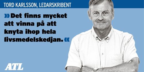 Ljuset kommer från öster