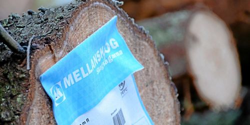 Uppåt för Mellanskog