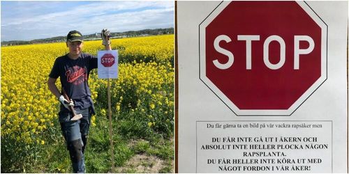 Selfie-stopp i rapsen - nu har gården fått nog
