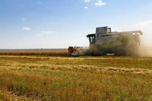 Sämre spannmålsskörd på grund av torkan och ett lägre etanolpris var negativt för resultatet.