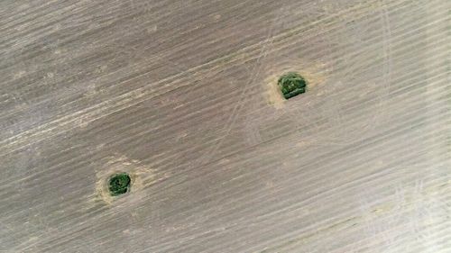 ATL TV: Blommor säkrar brunnarna