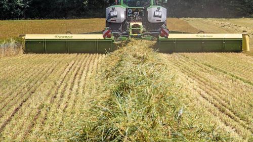 Strängläggning utan slåtterkross
