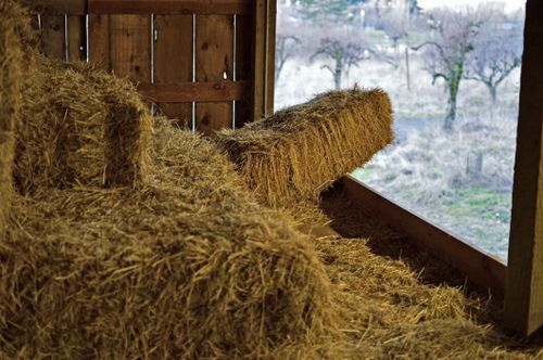 200 höbalar stulna från hästgård