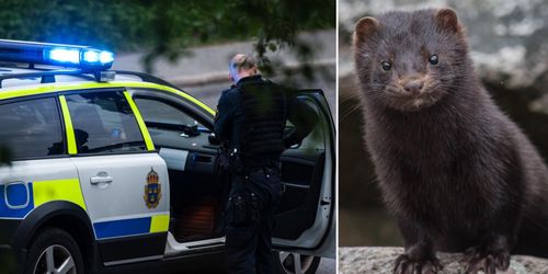 Aktivister stoppades av polis men greps inte