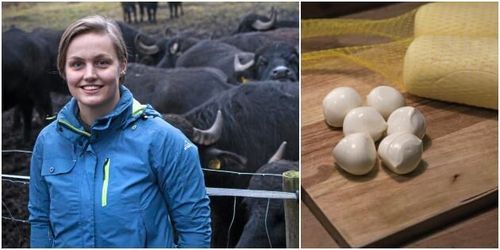 ”Vi ska bli mozzarellans svar på Teslan”